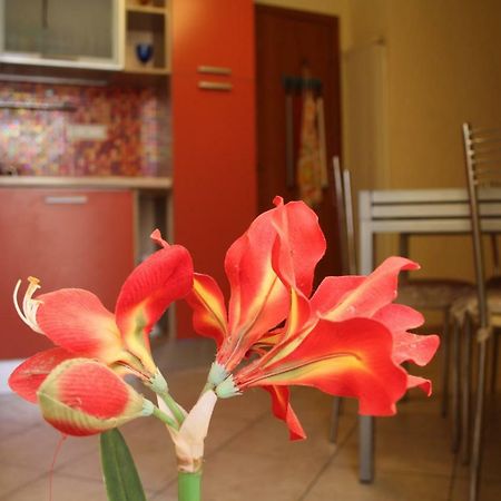 Pisa Town Bed & Breakfast Exterior foto