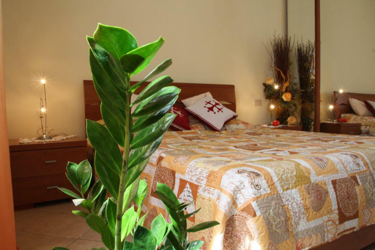 Pisa Town Bed & Breakfast Exterior foto