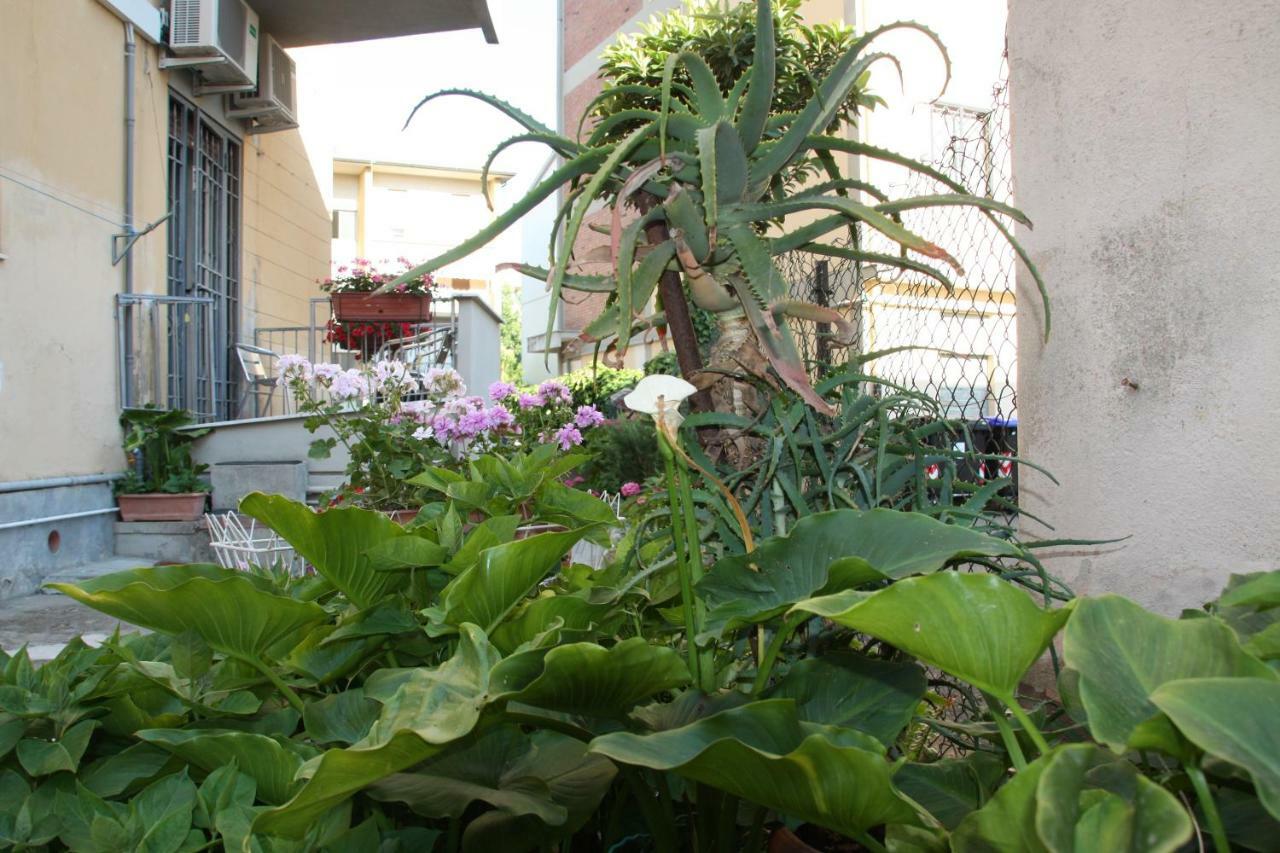Pisa Town Bed & Breakfast Exterior foto