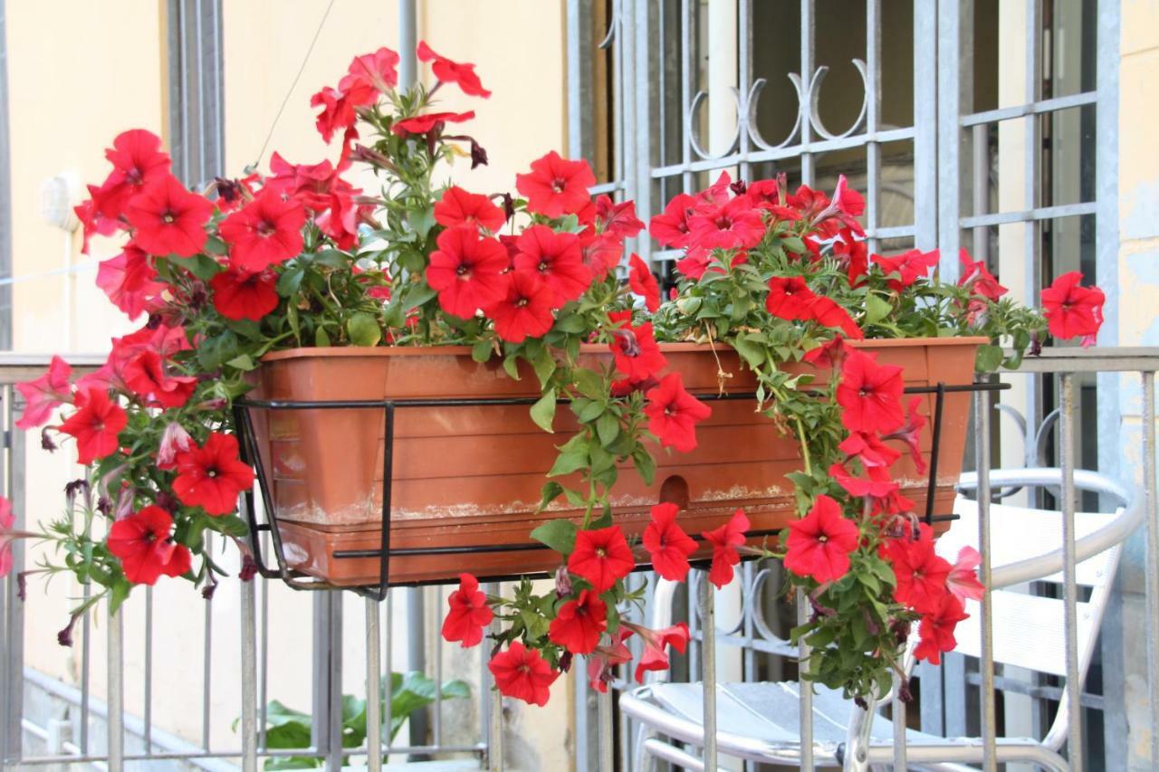 Pisa Town Bed & Breakfast Exterior foto