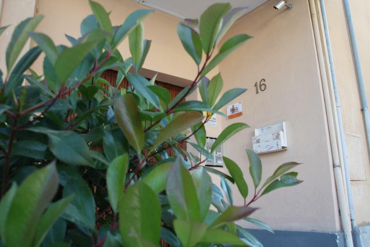 Pisa Town Bed & Breakfast Exterior foto